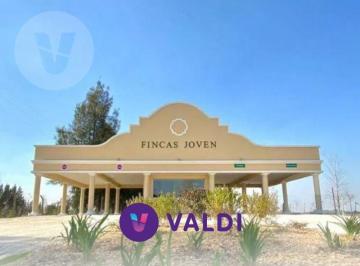 Terreno · 618m² · Lote en Venta - Barrio Fincas Joven, San Vicente