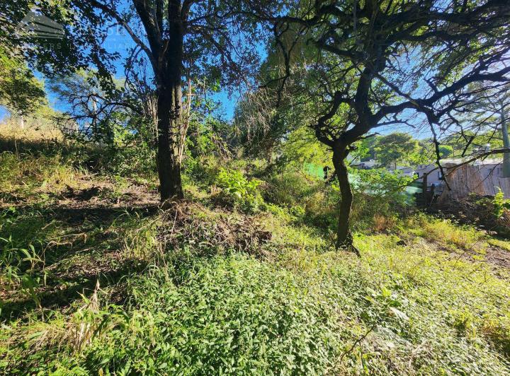 Terreno · 960m²