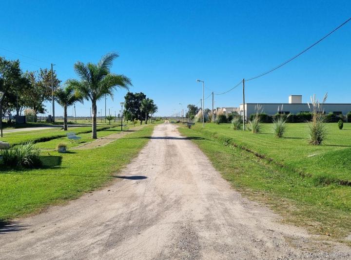 Terreno · 1000m²