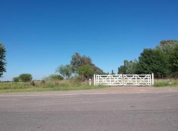 Terreno , Alvear · Venta 8,5 Has Sobre Autopista Rosario - Buenos Aires
