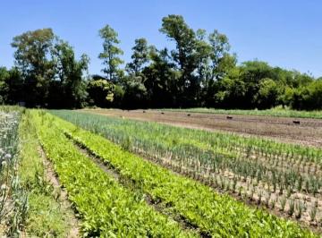 Campo · 68800m² · Fracción de Campo 68.800 m² Escobar Ideal Loteo