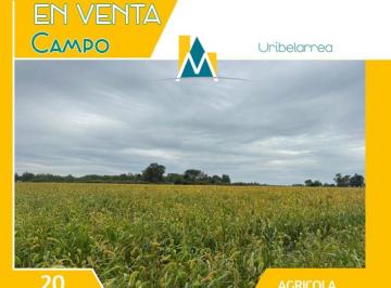 Campo · 318m² · 1 Ambiente · Campo con Gran Casco - Gran Casa Principal
