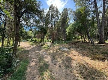 Terreno , El Bolsón · 1 Hectárea en El Bolsón - Faldeo del Cerro Piltriquitrón
