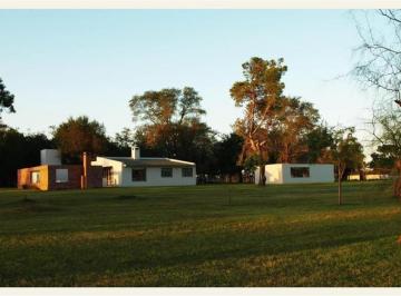 Campo · 7m² · Propiedades Rurales - Chacra - San Miguel del Monte