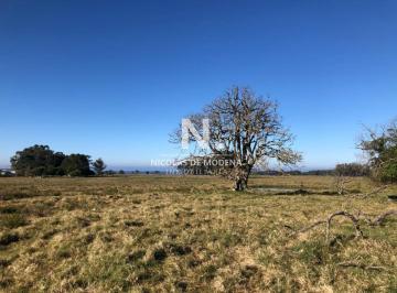 Foto1 · En Venta Chacra a Solo 8 Km del Puerto de Garzón.