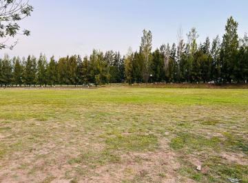 Terreno , General Rodríguez · Terreno en Terravista