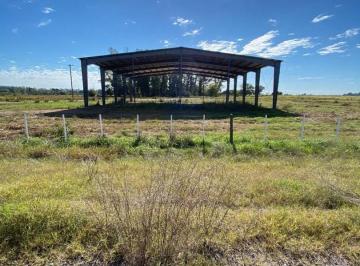 Bodega-Galpón , Capitán Sarmiento · Depósito Galpón en Alquiler en Capitán Sarmiento, Resto de La Provincia, Buenos Aires