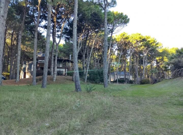 Terreno · 874m²