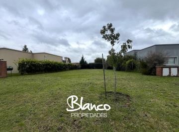 Terreno · 459m² · Terreno Lote en Venta en San Eduardo, Pilar del Este, Pilar