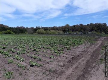 Campo · 10000m² · 1 Ambiente · Venta de Campo 10 Hectáreas Sobre Ruta 226
