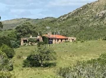 Foto1 · Campo en Pueblo Eden con Buena Casa y Se Trabaja Ganado.