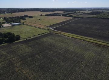 Campo · 440000m² · Campo en Sierra de Los Padres