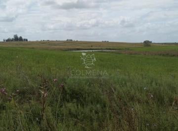 Foto1 · Campo en Florida Agrícola - Ganadero