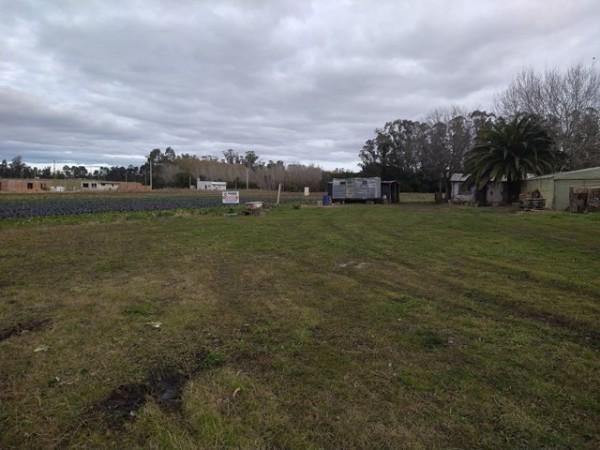 Lote ideal para loteo ya que se encuentra lindero A barrio "el morrito" O para siembra E invernaculo