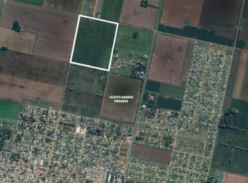 Campo · 160000m² · Campo 8 Hectáreas Roldan Para Urbanizar