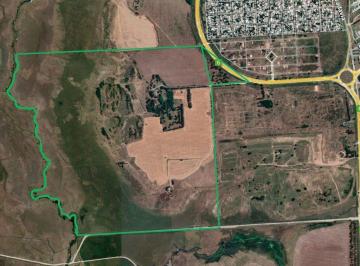 Campo · 2160000m² · Campo 216 Has en Venta (Apto Desarrollo) - en Campana