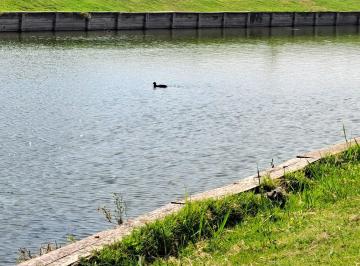 Terreno · 1095m² · Increíble Lote Al Agua. un Solo Vecino. Excelente Orientación