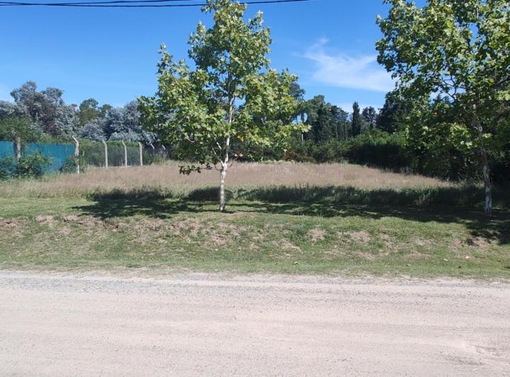 Terreno · 451m²