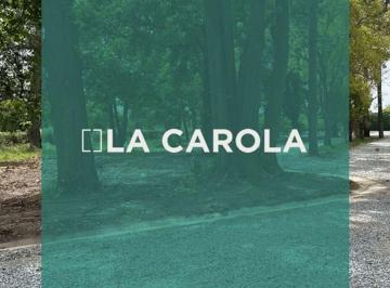 Terreno · 600m² · Lote en Venta Villa Elisa B. Cerrado "La Carola"