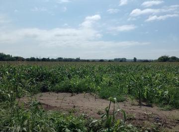 Terreno · 6ha · Campo de 6 Has en Venta en Colonia Caroya