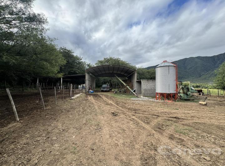 Terreno · 175m² · 4 Ambientes