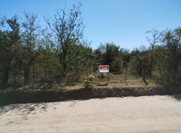 Frente terreno · Espectacular Sitio con Costa de Río a 10 Cuadras de La Plaza en Nono