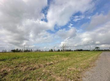 Terreno · 3500m² · Venta 3 Terrenos Juntos - Barrio Funes Town