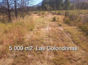 Terreno · 5000m² · Terreno en Las Golondrinas