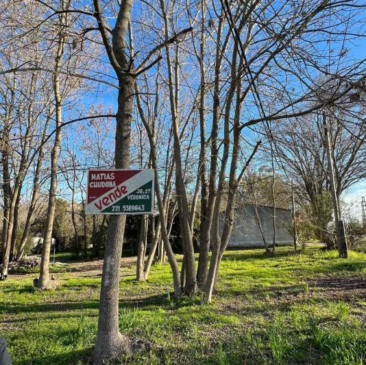 Terreno · 595m²