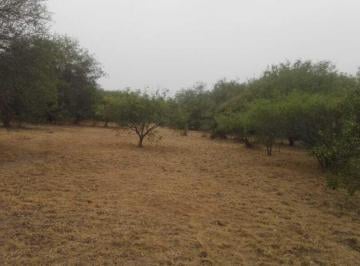 Campo · 893m² · Campo en Venta de 900 Ha en Formosa