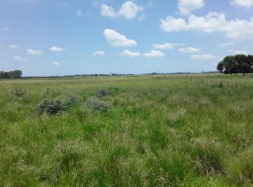 Terreno · 520000m² · Campo 52 Ha San Vicente. Ideal Inversión/ Barrio Cerrado.