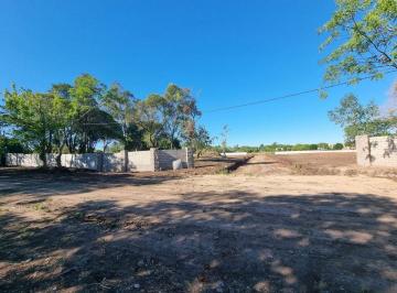 JSP-JSP-3706_2 · Venta de Hectáreas en Melchor Romero, La Plata