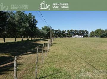 Campo · 10000ha · Chacra en Abbott