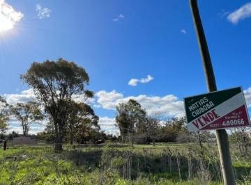 Terreno · 718m² · Lote en Veronica 12 X 60