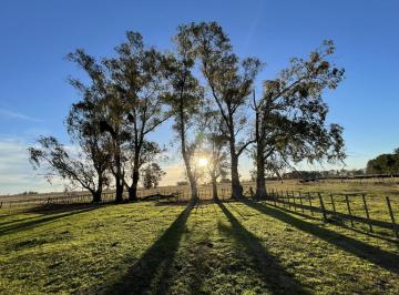 Campo · 1100000m² · 8 Ambientes · 2 Cocheras · Oportunidad! Campo en Mercedes a 5 Km de La Ruta 41!