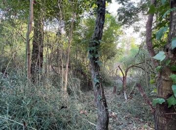 Terreno · 2000m² · Venta Retsado Lote 2000 m² Punta del Indio T - 1178