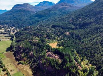 Campo , El Hoyo · Campo de 64 Has con Praderas y Frutales en El Hoyo