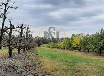 XCM-XCM-14633_2 · Venta Chacra, Campo Productivo Prox. Atlantida, Peras y Limo