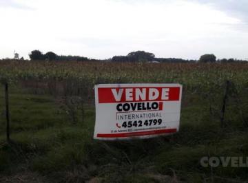 Campo · 12200m² · 1 Ambiente · Venta Campo Carmelo
