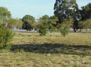 Terreno · 501m² · Solar en Venta en Primera Línea en Balneario Zagarzazú Carmelo