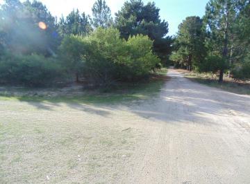 Terreno · 547m² · Terreno - Zagarzazu