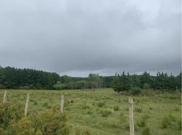 Terreno · 50000m² · Chacra de 5 Ha en Maldonado