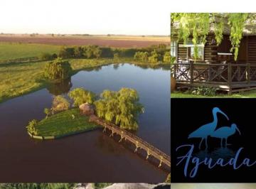 Casa de 2 ambientes, San Antonio de Areco · Alquiler Temporario en Villa Lia