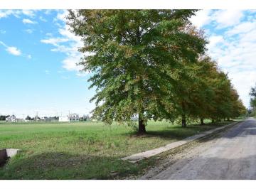 Terreno · 300m² · Lote Barato en Arroyo Seco - Todos Los Servicios - Terreno Cercano Al Río