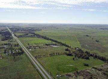 Campo · 810000m² · Cañuelas - 81 Has Sobre Ruta 3.