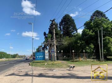 1815668066.jpg · Terreno en Venta Ubicado en Luis Guillón, Esteban Echeverría, G. B. a. Zona Sur