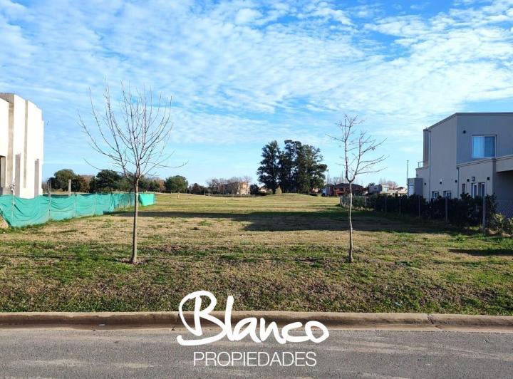 Terreno · 1068m²