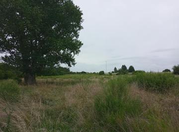 Campo · 20000m² · Chacra - Colonia del Sacramento