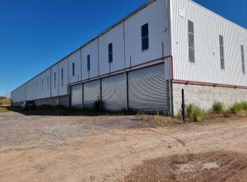 Bodega-Galpón · 5000m² · Nave Industrial Pilar