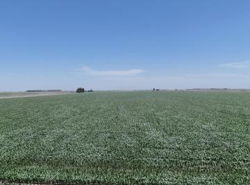 Campo · 9360000m² · Venta de Campo Carlos Tejedor